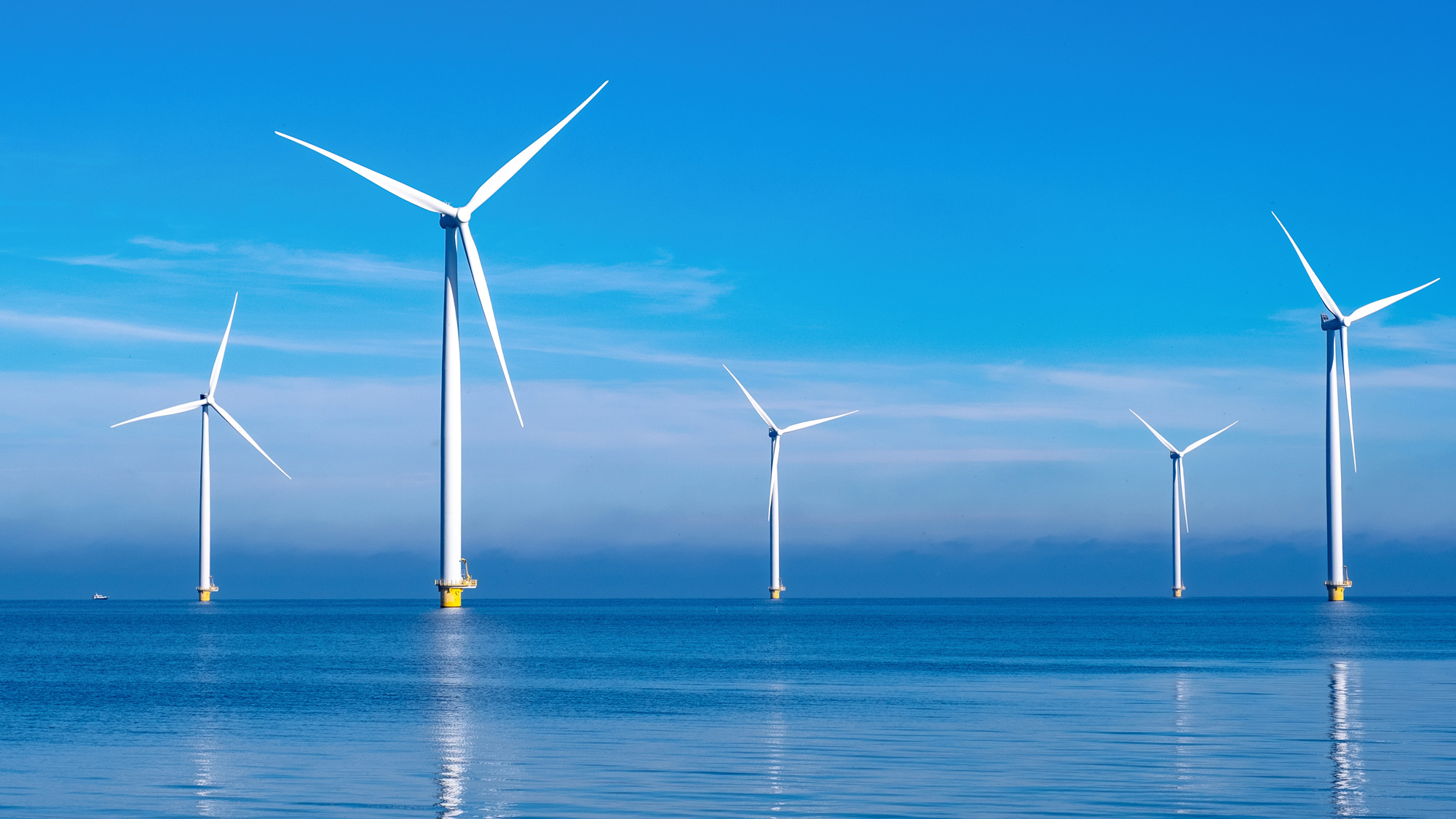 offshore wind power