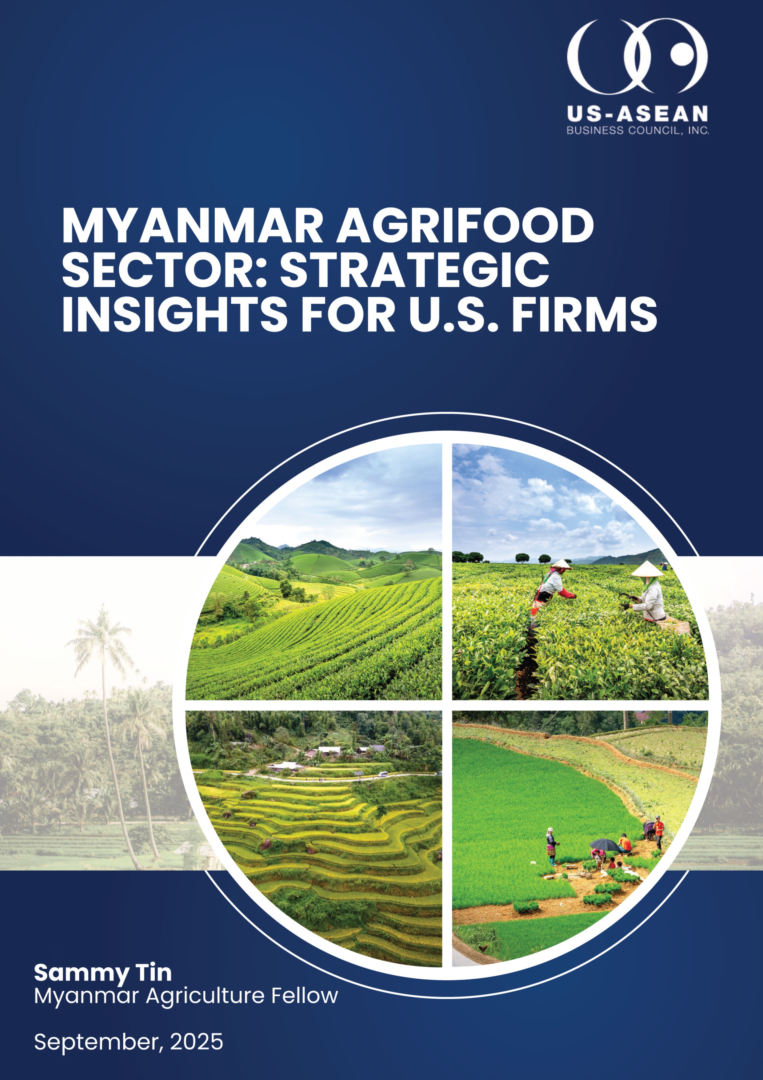 Myanmar-Agriculture-Fellowship_Sep-2025 cover
