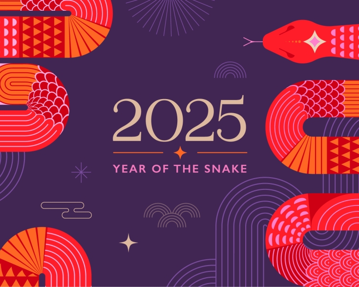 2025 chinese new year